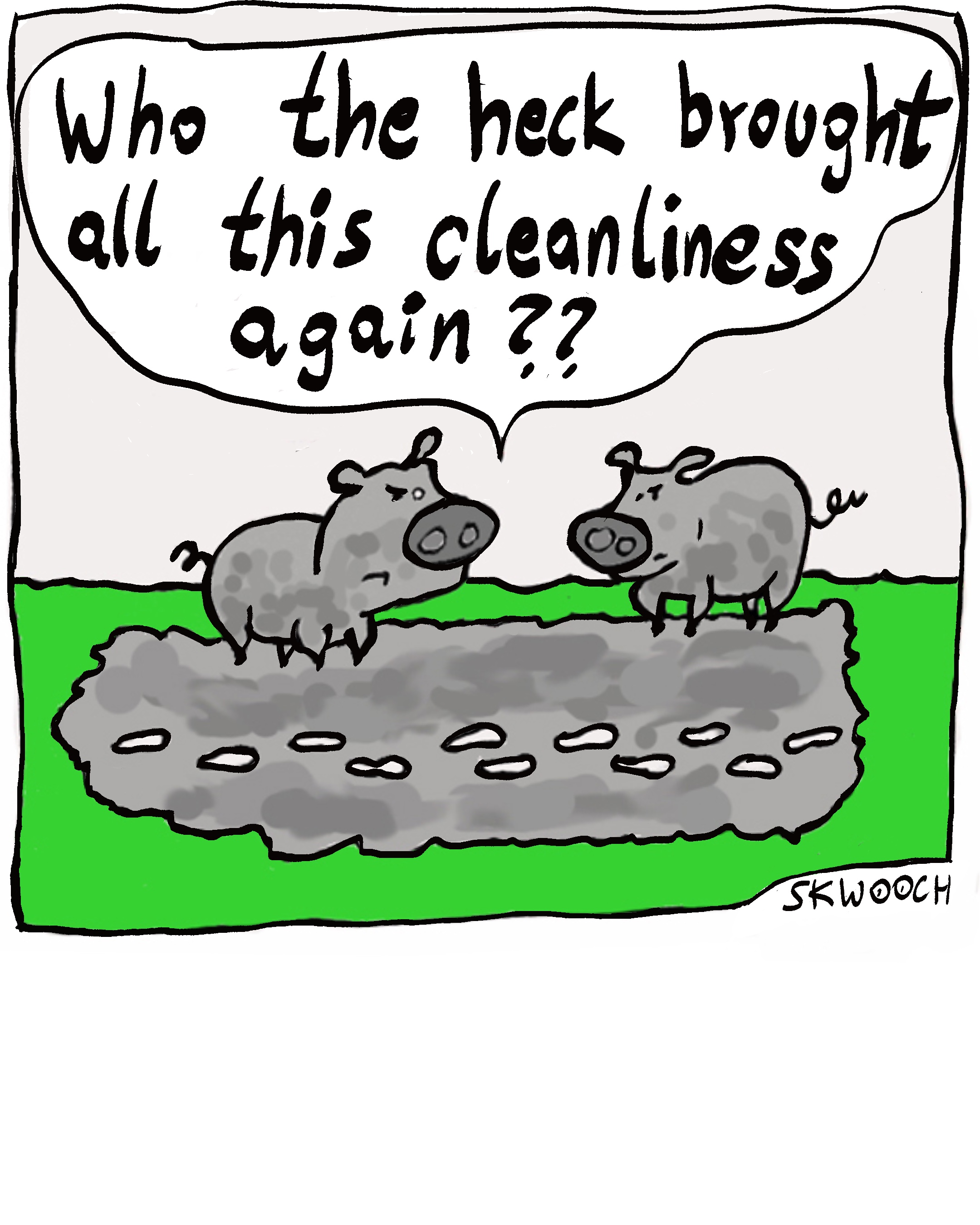 Pigs